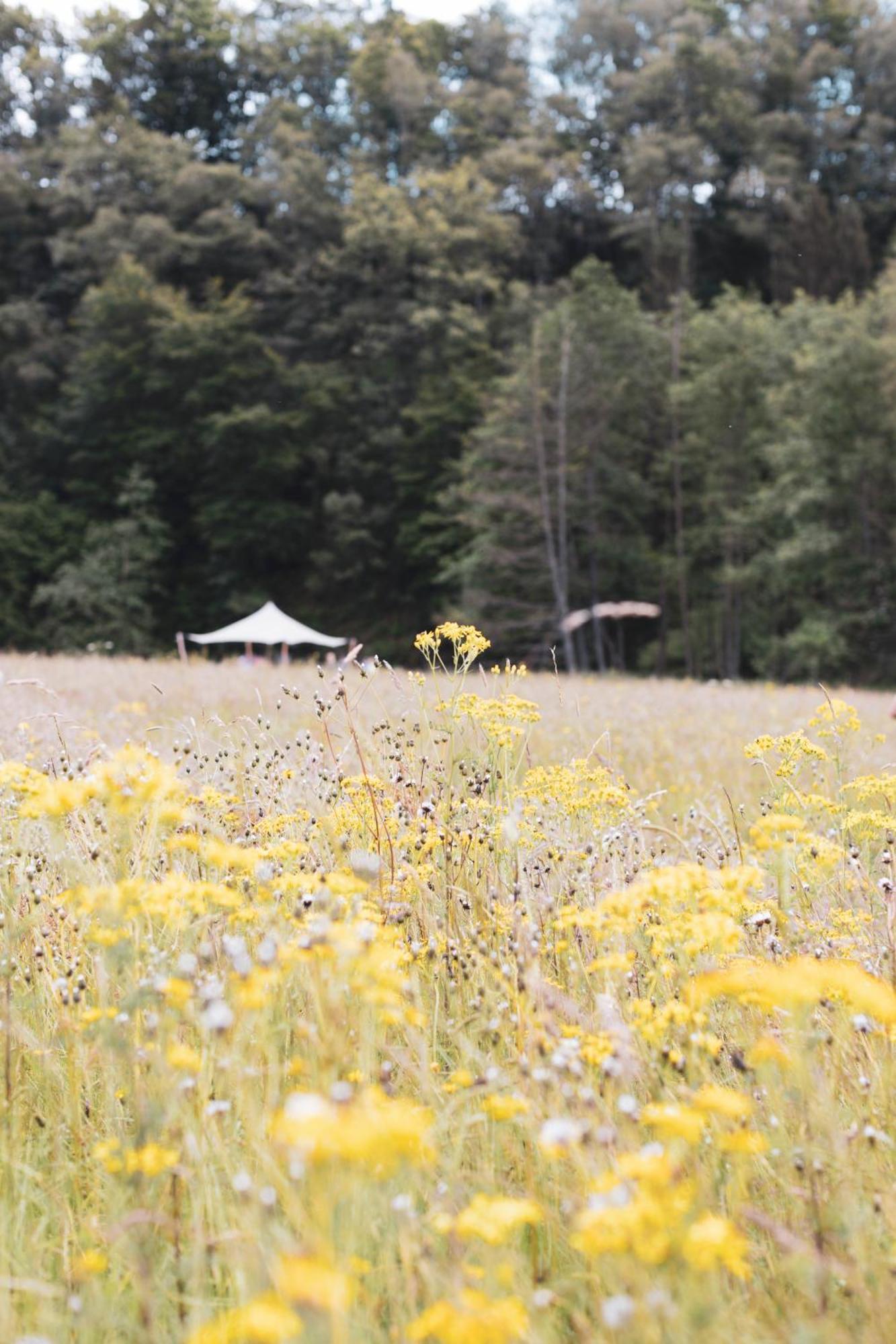 Paddock - Wellness & D'hotes Couette-café Stoumont